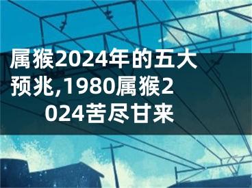 属猴2024年的五大预兆,1980属猴2024苦尽甘来