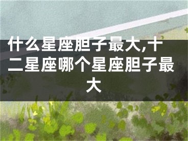 什么星座胆子最大,十二星座哪个星座胆子最大