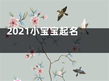  2021小宝宝起名 