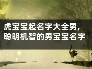 虎宝宝起名字大全男,聪明机智的男宝宝名字