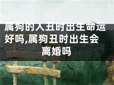 属狗的人丑时出生命运好吗,属狗丑时出生会离婚吗