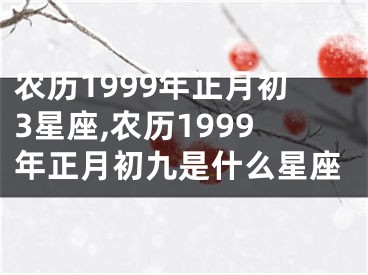 农历1999年正月初3星座,农历1999年正月初九是什么星座