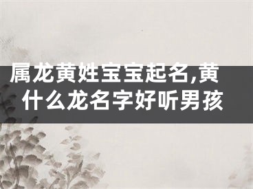 属龙黄姓宝宝起名,黄什么龙名字好听男孩