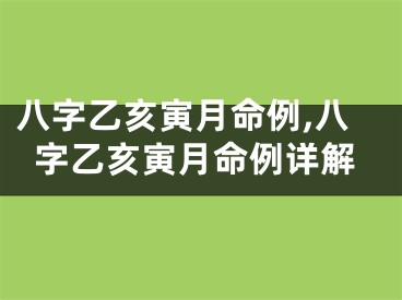 八字乙亥寅月命例,八字乙亥寅月命例详解