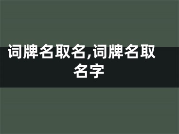 词牌名取名,词牌名取名字