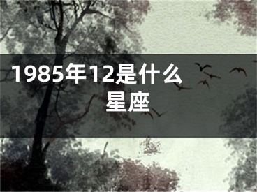 1985年12是什么星座