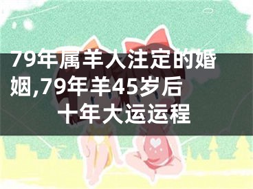 79年属羊人注定的婚姻,79年羊45岁后十年大运运程