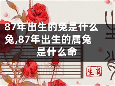 87年出生的兔是什么兔,87年出生的属兔是什么命