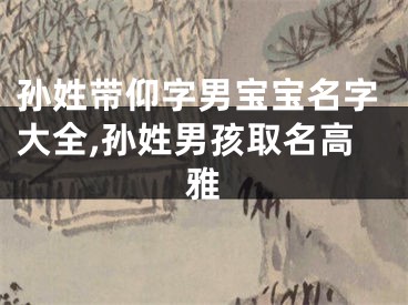 孙姓带仰字男宝宝名字大全,孙姓男孩取名高雅