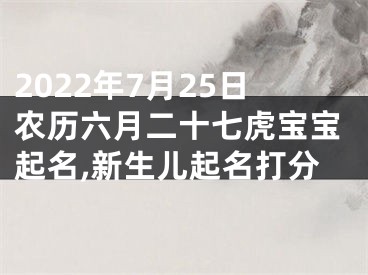 2022年7月25日农历六月二十七虎宝宝起名,新生儿起名打分