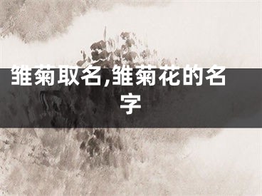 雏菊取名,雏菊花的名字