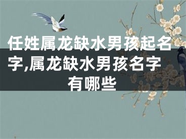 任姓属龙缺水男孩起名字,属龙缺水男孩名字有哪些