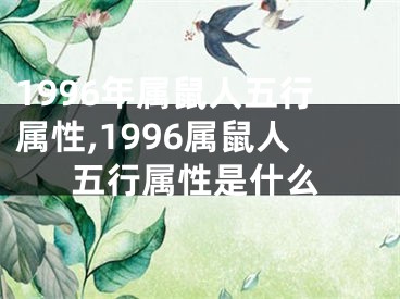 1996年属鼠人五行属性,1996属鼠人五行属性是什么