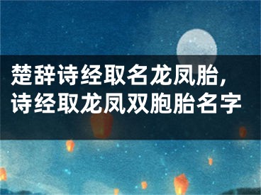 楚辞诗经取名龙凤胎,诗经取龙凤双胞胎名字