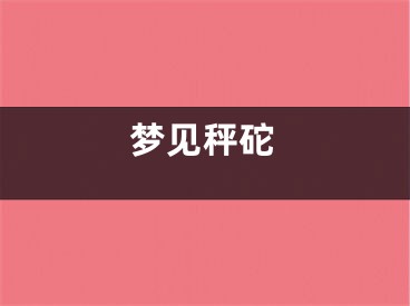 梦见秤砣