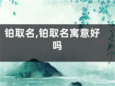 铂取名,铂取名寓意好吗