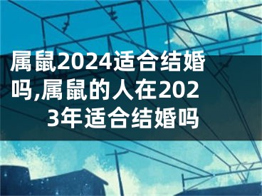 属鼠2024适合结婚吗,属鼠的人在2023年适合结婚吗