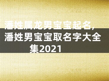 潘姓属龙男宝宝起名,潘姓男宝宝取名字大全集2021