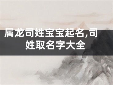 属龙司姓宝宝起名,司姓取名字大全