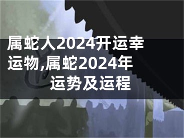 属蛇人2024开运幸运物,属蛇2024年运势及运程