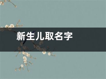  新生儿取名字 