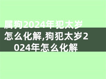 属狗2024年犯太岁怎么化解,狗犯太岁2024年怎么化解