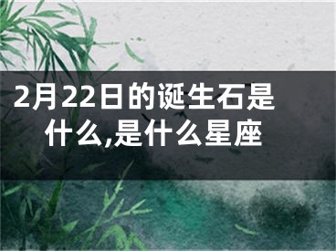 2月22日的诞生石是什么,是什么星座