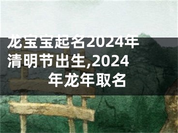 龙宝宝起名2024年清明节出生,2024年龙年取名