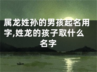 属龙姓孙的男孩起名用字,姓龙的孩子取什么名字