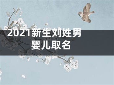  2021新生刘姓男婴儿取名 