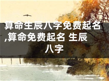 算命生辰八字免费起名,算命免费起名 生辰八字