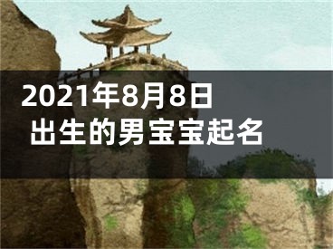  2021年8月8日出生的男宝宝起名 