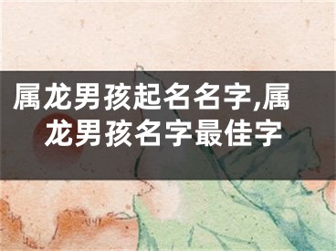 属龙男孩起名名字,属龙男孩名字最佳字