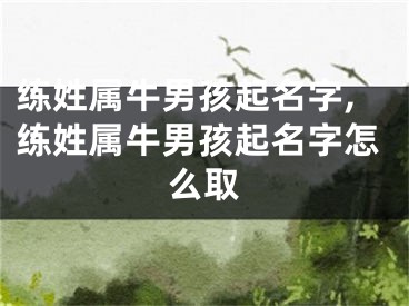 练姓属牛男孩起名字,练姓属牛男孩起名字怎么取