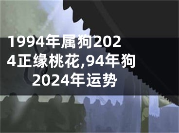 1994年属狗2024正缘桃花,94年狗2024年运势