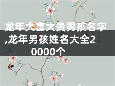 龙年大富大贵男孩名字,龙年男孩姓名大全20000个