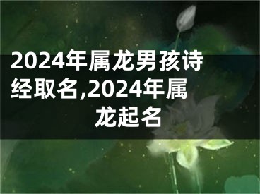 2024年属龙男孩诗经取名,2024年属龙起名