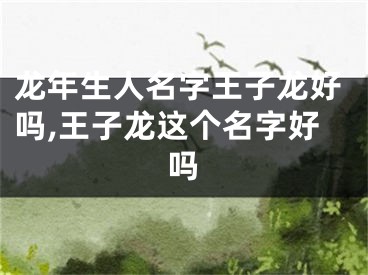 龙年生人名字王子龙好吗,王子龙这个名字好吗