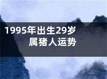 1995年出生29岁属猪人运势