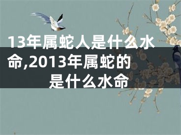 13年属蛇人是什么水命,2013年属蛇的是什么水命