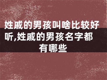 姓戚的男孩叫啥比较好听,姓戚的男孩名字都有哪些