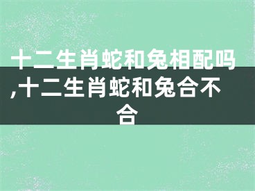 十二生肖蛇和兔相配吗,十二生肖蛇和兔合不合