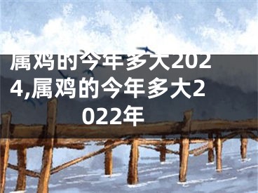 属鸡的今年多大2024,属鸡的今年多大2022年