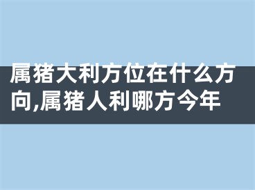 属猪大利方位在什么方向,属猪人利哪方今年