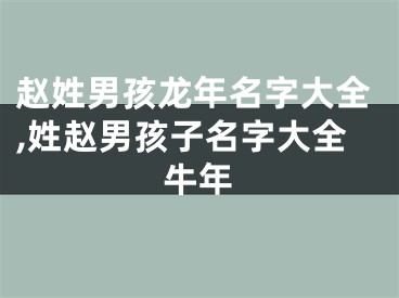 赵姓男孩龙年名字大全,姓赵男孩子名字大全牛年