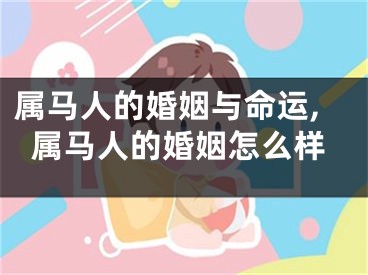 属马人的婚姻与命运,属马人的婚姻怎么样