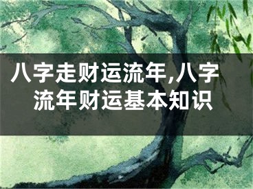 八字走财运流年,八字流年财运基本知识