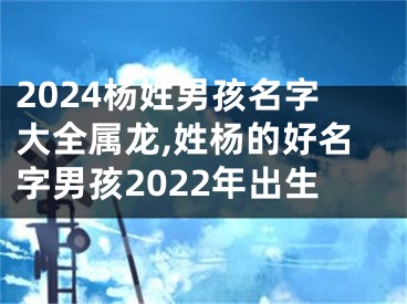 2024杨姓男孩名字大全属龙,姓杨的好名字男孩2022年出生