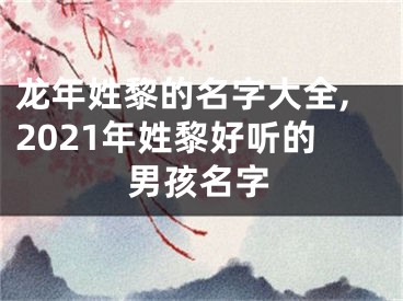 龙年姓黎的名字大全,2021年姓黎好听的男孩名字