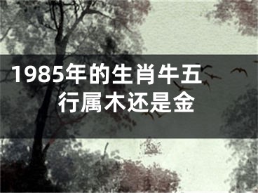 1985年的生肖牛五行属木还是金